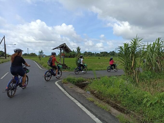 Ubud E-Bike Tour & Whitewater Rafting - E-Bike Ride Through Mambal