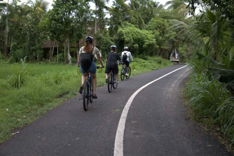 Ubud: E-Bike Tour with Rice Terrace and Village Visit - A Practical Look at What to Expect