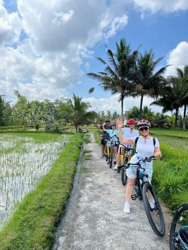 Ubud: E-Bike Tour with Rice Terrace and Village Visit - FAQ