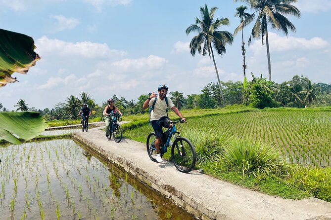 Ubud Ebikes Tour to Tegallalang Rice Terrace - Positive Reviews