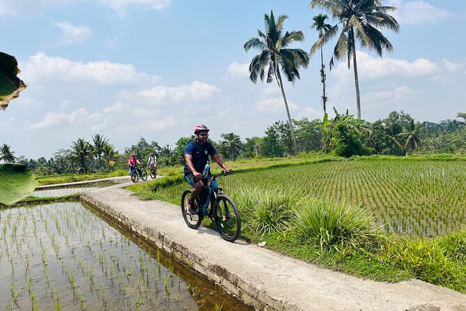 Ubud Ebikes Tour to Tegallalang Rice Terrace - Electric Bike Experience