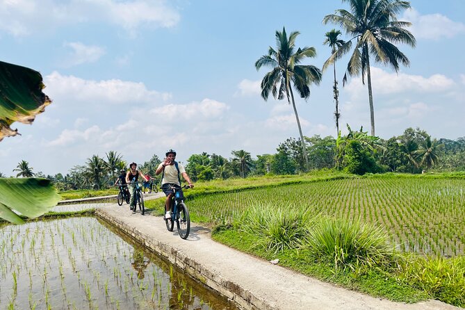 Ubud Ebikes Tour to Tegallalang Rice Terrace - Visiting Tegallalang Rice Terrace