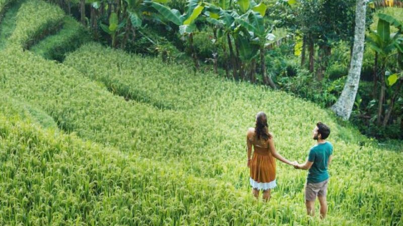 Ubud Eco-Adventure: Farm, Rice Terraces, River & Dance Show! - Itinerary Details