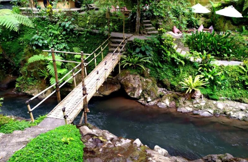 Ubud Eco-Adventure: Farm, Rice Terraces, River & Dance Show! - Organic Farm Experience