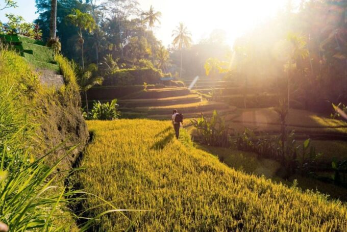 Ubud Eco-Adventure: Farm, Rice Terraces, River & Dance Show! - Hidden River Oasis
