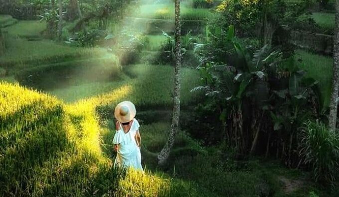 Ubud Eco-Adventure: Farm, Rice Terraces, River & Dance Show! - Balinese Dance Performance