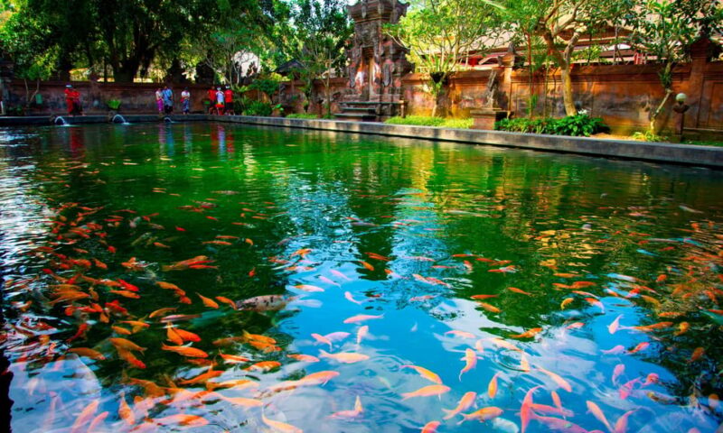 Ubud Enchantment Explorer - Inclusions and Exclusions
