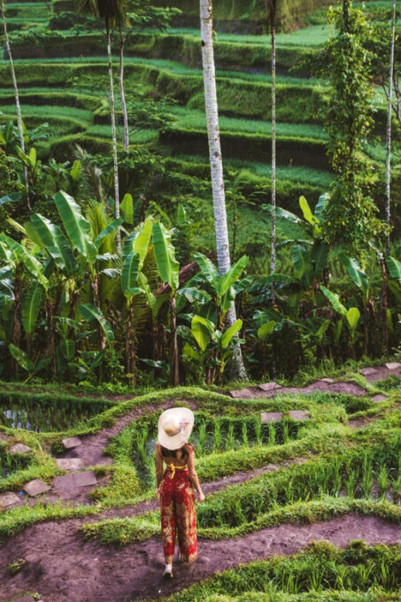 Ubud Enchantment Explorer - Frequently Asked Questions