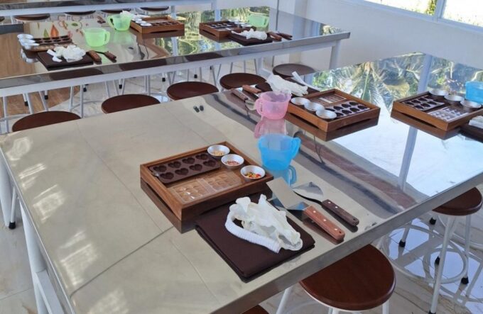 Ubud: Exclusive Chocolate Experience, Monkey Forest & Swing - Inclusions and Amenities