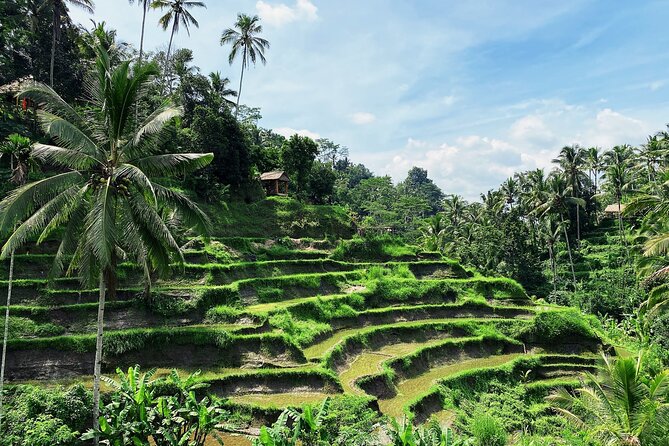 Ubud Experience | Full Day Private Tour in Ubud | FREE WIFI - Pickup Information
