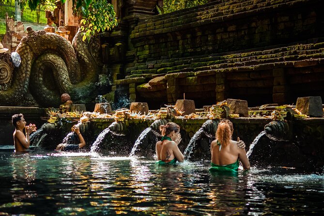 Ubud Experience | Full Day Private Tour in Ubud | FREE WIFI - Customer Reviews