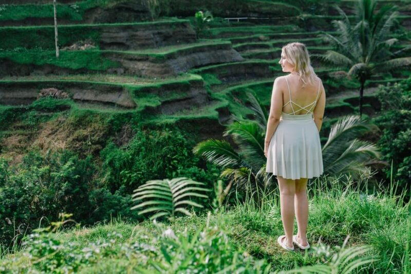 Ubud Fantastic Tour, Monkey Forest Waterfall Tirta Empul - Key Points