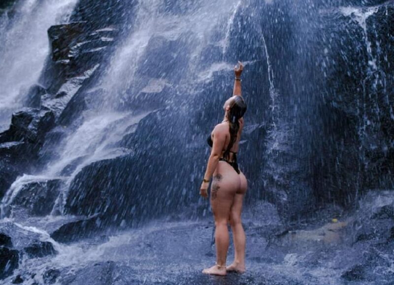 Ubud Fantastic Tour, Monkey Forest Waterfall Tirta Empul - Inclusions and Additional Services