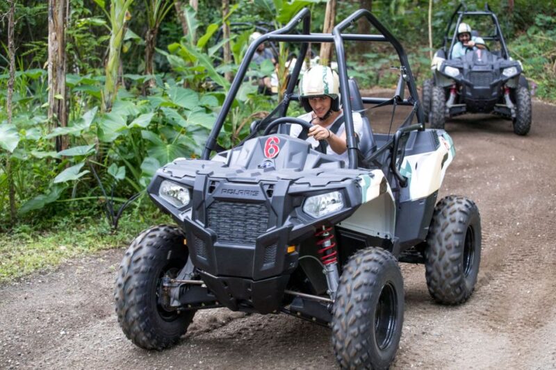 Ubud: Full-Day Mountain Biking and Jungle Buggy Experience - Safety and Restrictions