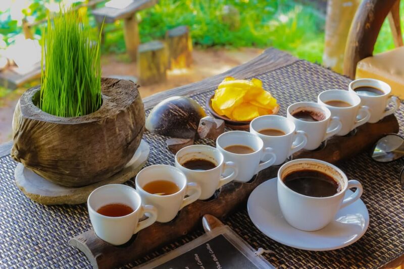 Ubud: Full-Day Rice Paddy UNESCO and Traditional Village - Key Points