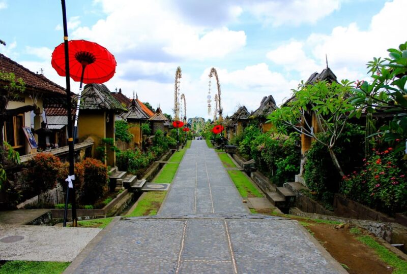 Ubud: Full-Day Rice Paddy UNESCO and Traditional Village - Itinerary Highlights