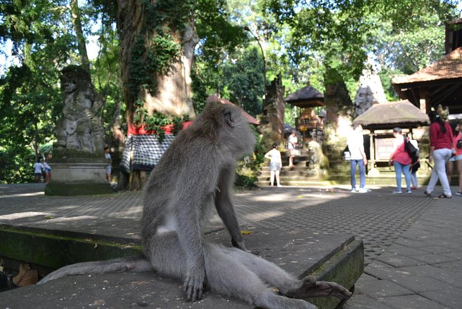 Ubud Full Day Tour - Costumeize Your Own Trip - Tour Features