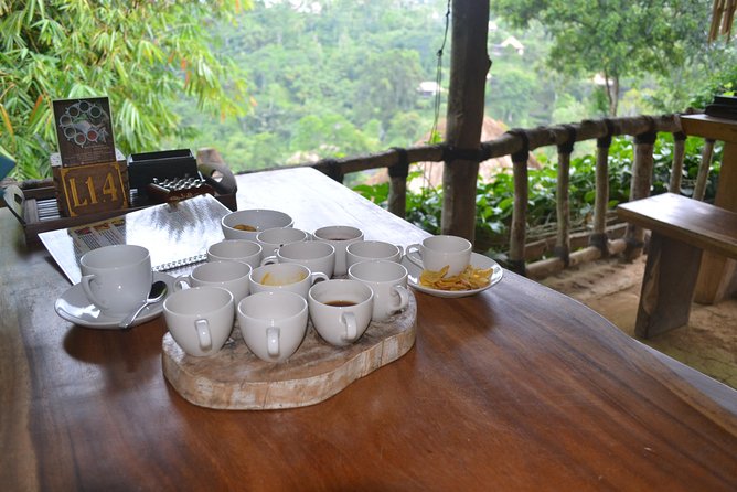 Ubud Full Day Tour - Costumeize Your Own Trip - Exploring Ubuds Attractions