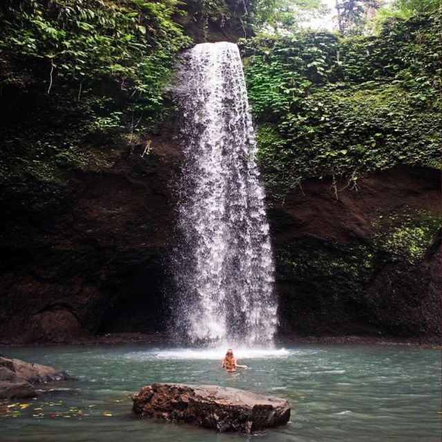 Ubud Full Day Tour Packages - 2 Days Adventure - Sacred Monkey Forest