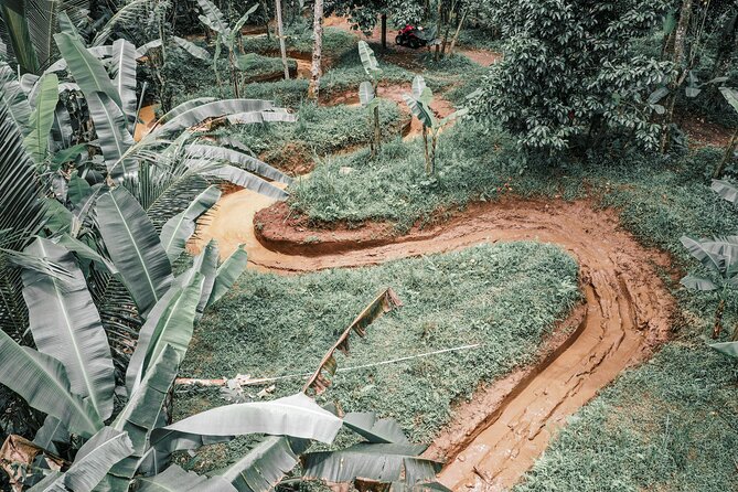 Ubud: Gorilla Face ATV Quad Bike Adventure With Lunch - Stopping at the Lookout Point