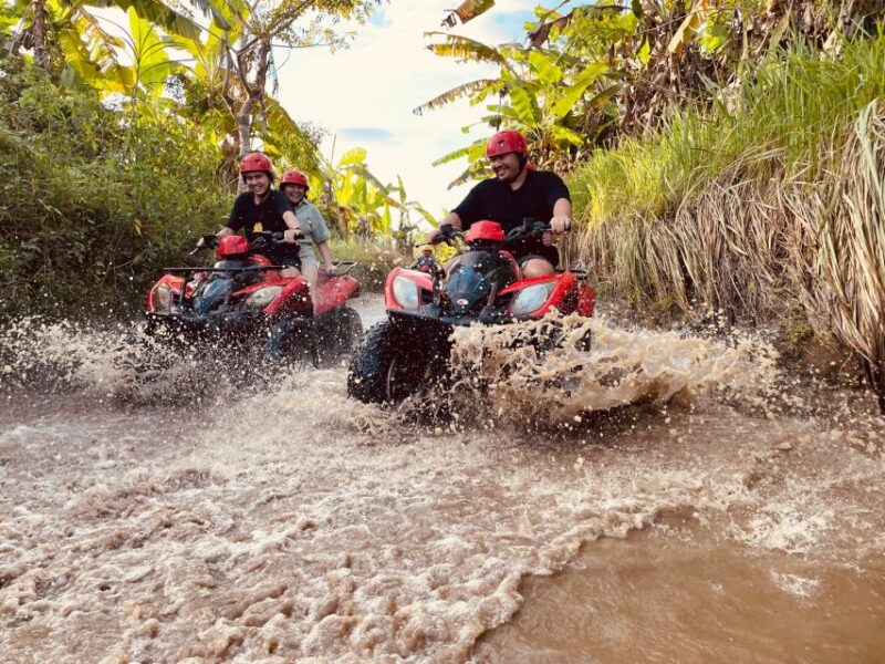 Ubud: Gorilla Face ATV Quad Bike Adventure With Lunch - Key Points