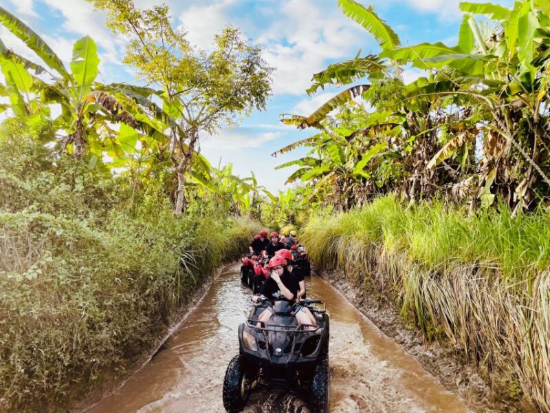 Ubud: Gorilla Face Quad Bike, Jungle Swing, Waterfall & Meal - Participant Suitability
