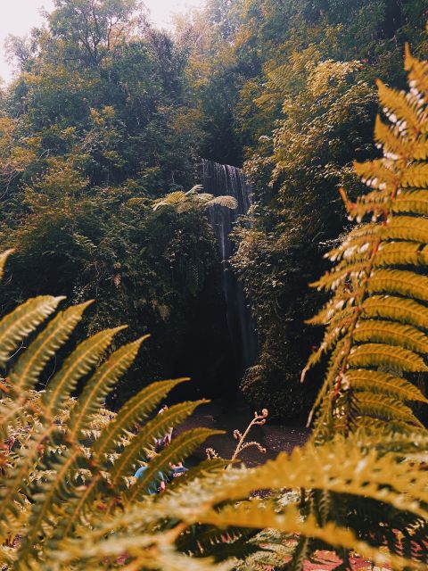 Ubud: Gorilla Face Quad Bike, Jungle Swing, Waterfall & Meal - Important Tour Information
