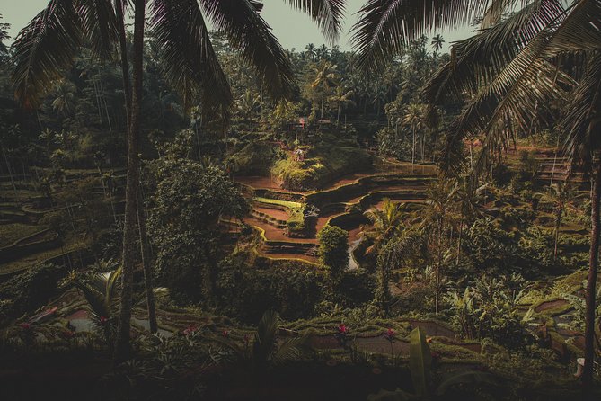 Ubud Guided Tour & Iconic Tanah Lot Temple - Ubud Traditional Art Market
