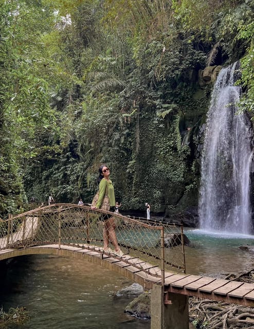 Ubud: Half-Day Semi Customized Private Tour - Experience and Attractions