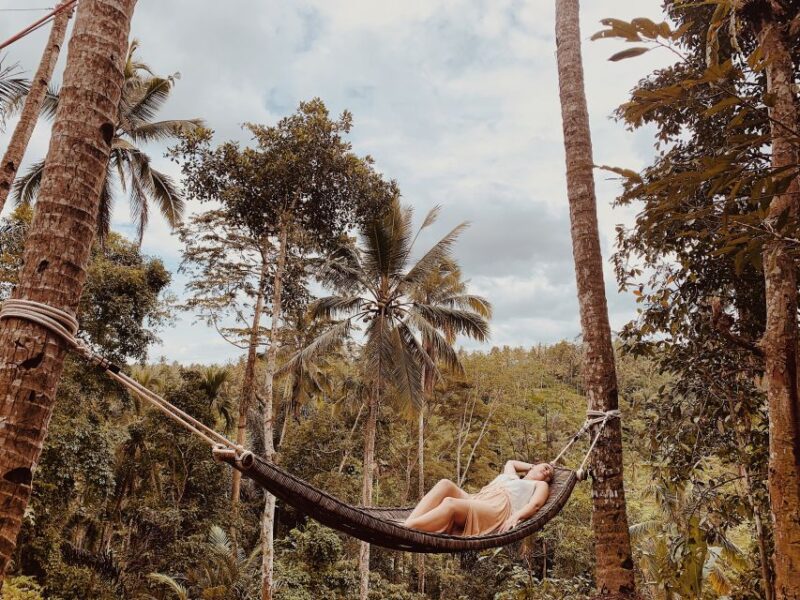 Ubud: Half-Day Semi-Customized Private-Tour With Live Guide - Experience Highlights