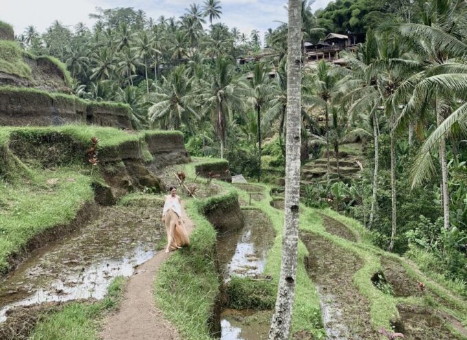 Ubud: Half-Day Semi-Customized Private-Tour With Live Guide - Live Tour Guide Options