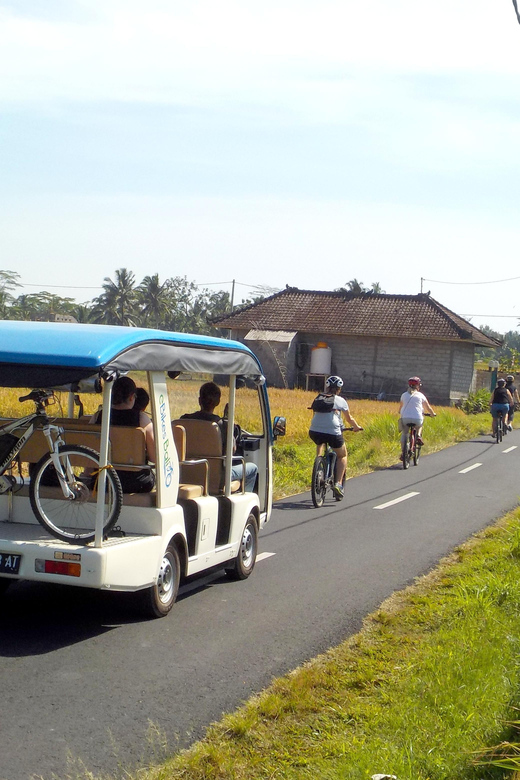 Ubud: Half-Day Tegallalang Electric Cycling Tour - Key Points