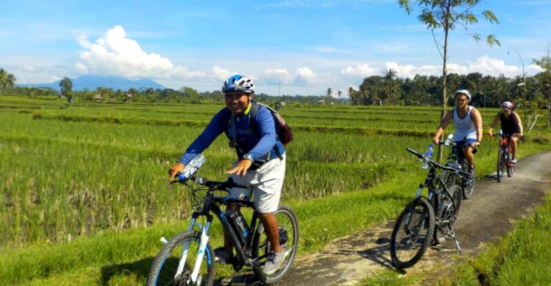 Ubud: Half-Day Tegallalang Electric Cycling Tour - Pickup and Transportation