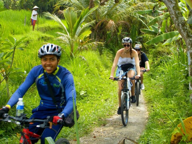 Ubud: Half-Day Tegallalang Electric Cycling Tour - Included Amenities
