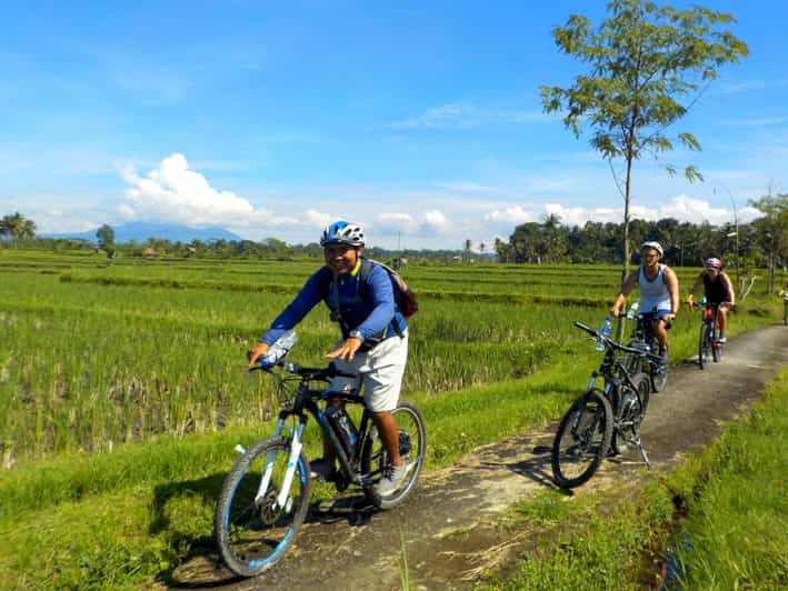 Ubud: Half-Day Tegallalang Electric Cycling Tour - Customer Feedback