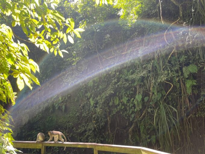 Ubud Half Day Tour - Reserve Now and Pay Later