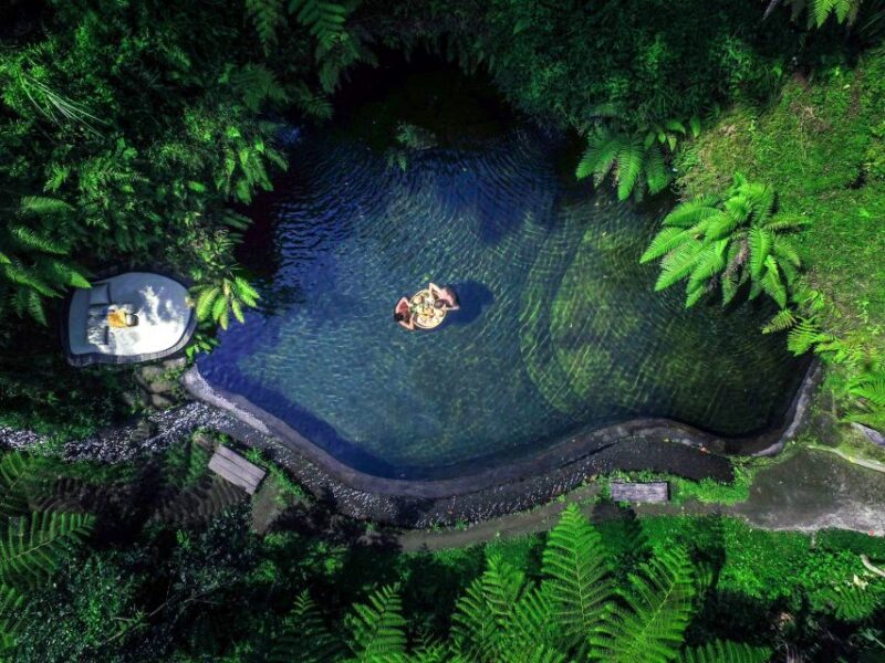 Ubud: Half-Day Zipline and Jungle Swing Adventure - Experience Highlights