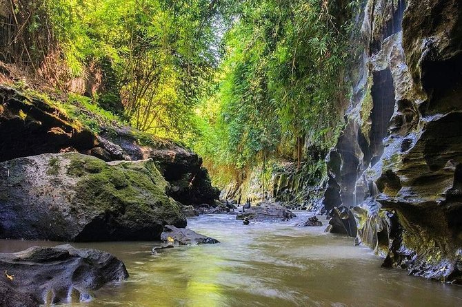 Ubud : Hidden Canyon Guwang Village and Ubud Village Trips - Meeting and Pickup Information