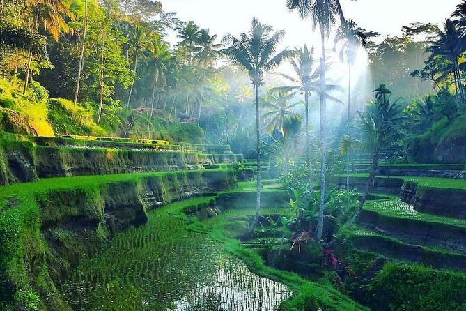 Ubud : Hidden Canyon Guwang Village and Ubud Village Trips - Discovering Guwang Village
