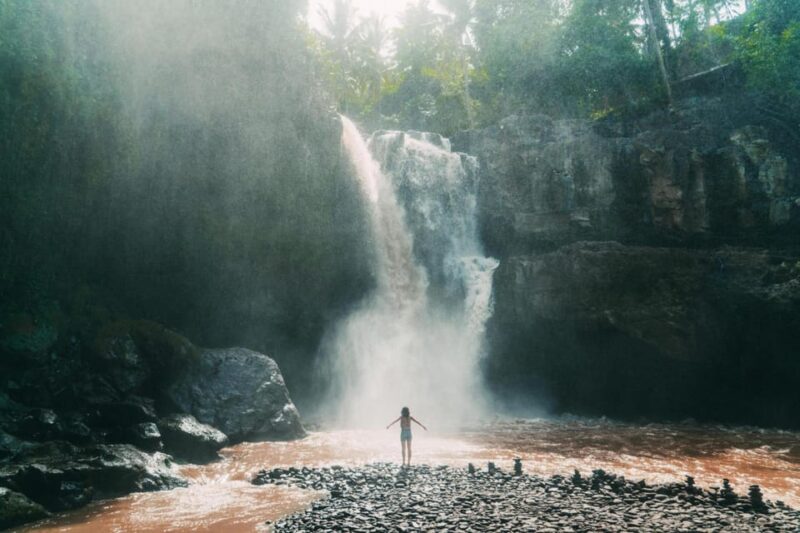 Ubud : Hidden Waterfalls Private Tour - Tibumana Waterfall