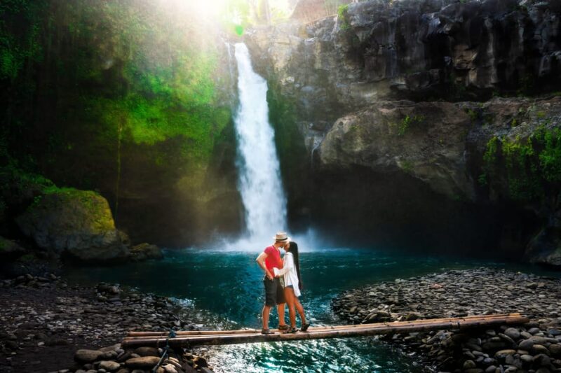 UBUD Highlight: Tirta Empul,Temple, Rice Terrace & Swing - Tour Experience