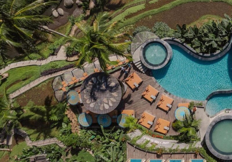 Ubud: Highlights & Cretya Jungle by Alas Arum Day-Tour - Itinerary Highlights