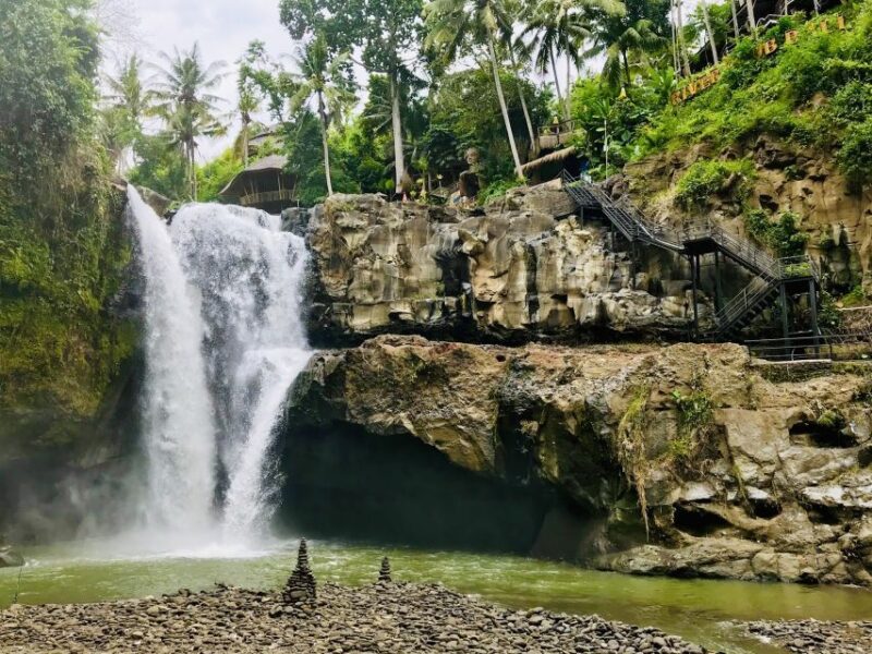 Ubud: Highlights & Cretya Jungle by Alas Arum Day-Tour - Cretya Ubud by Alas Arum