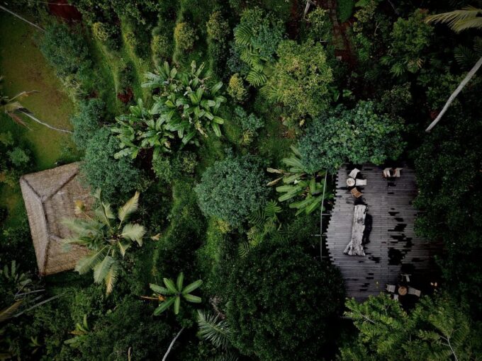 Ubud: Highlights & Cretya Jungle by Alas Arum Day-Tour - Inclusions