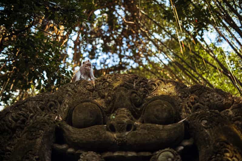 Ubud Highlights Private Day Tour All-Inclusive - Itinerary and Experience