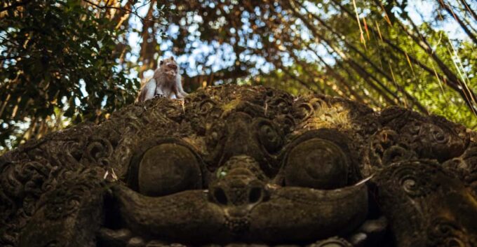 Ubud Highlights Private Day Tour All-Inclusive - Important Information and Feedback
