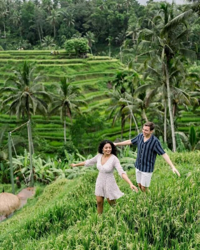 Ubud Highlights Tours Customized With Private Driver & Guide - What to Expect on Your Ubud Day Tour