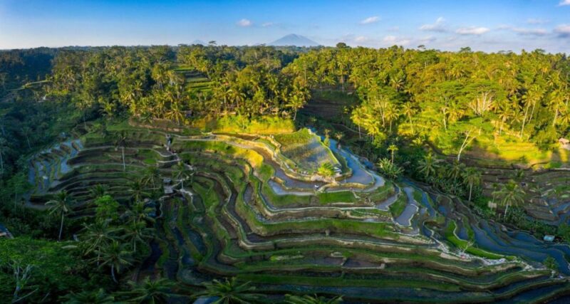 Ubud Highlights With Nature Tour - Participant Requirements and Restrictions