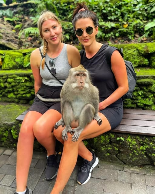 Ubud Higlights - Monkey Forest, Rice Terrace & Waterfall - Key Points