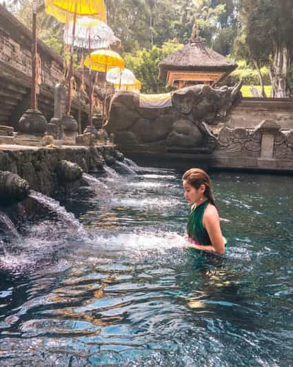 Ubud Higlights - Monkey Forest, Rice Terrace & Waterfall - Attractions in Ubud